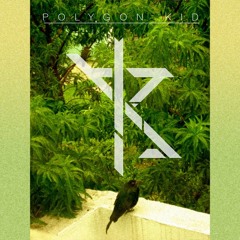 Polygon Kid