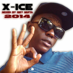 X-ice Salut 2014