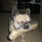 bassie00011