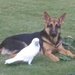 Kendra Gates Vickery