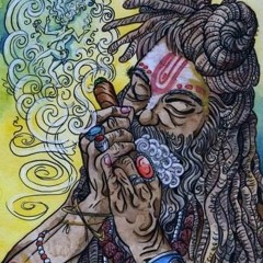 Cannabinolis.