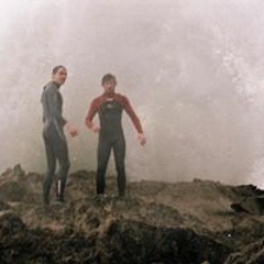 Harlequin Hodgson-Tuck