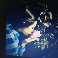 user146199653