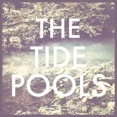 The Tide Pools