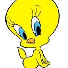 piolin