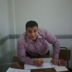 Mohamed Atef Salem