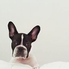 Pablo Escalante Andres