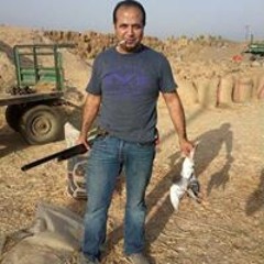 Yasser Gamal