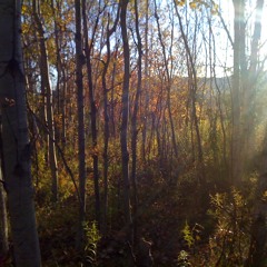 AGearInsideThisMachine