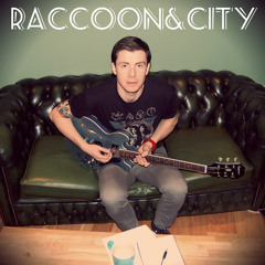 raccoon&city