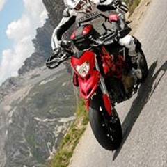 Davy van der Steichel