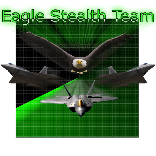 EagleStealthTeam’s avatar