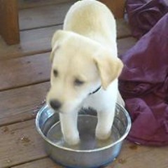 Jeremiah MC Nada Roberts