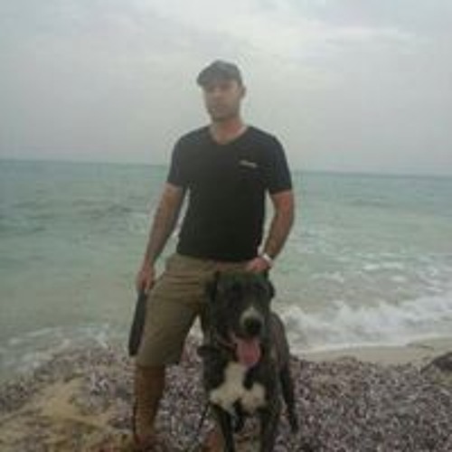 Abdelrahman Mohamed Salem’s avatar