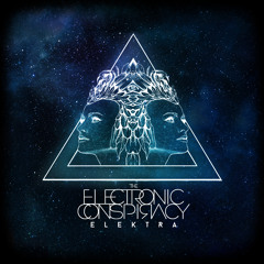 THE ELECTRONIC CONSPIRACY