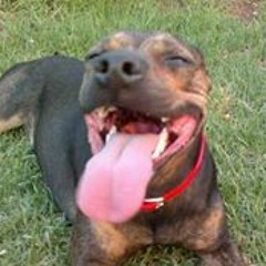 Orit N Benjamin Steiner