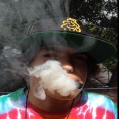 marco_t13