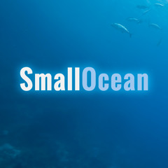 Small Ocean