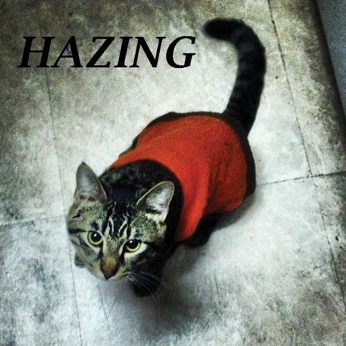 SoundCloud profile picture for @hazing
