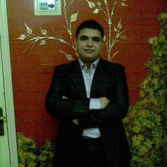 Mohamed Almanzalawy 1