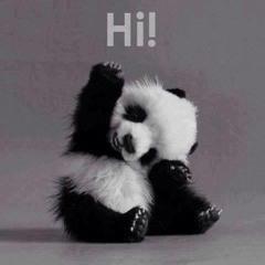 TrailerParkPanda