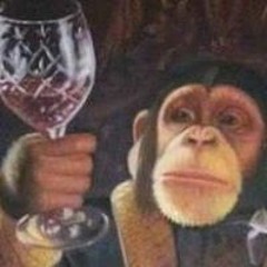 Erasmus Anarchomonkey