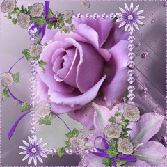 329807826 Anna