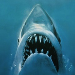 MR SHARKS