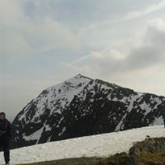 Lorne Panda McCallum