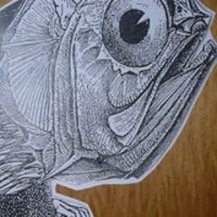 Fisch Man