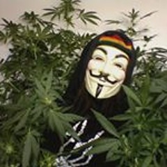 AnonMarijuana