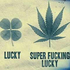 HCFL