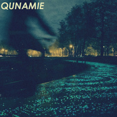 QUNAMIE