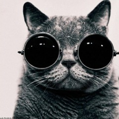 Thom Op den Velde