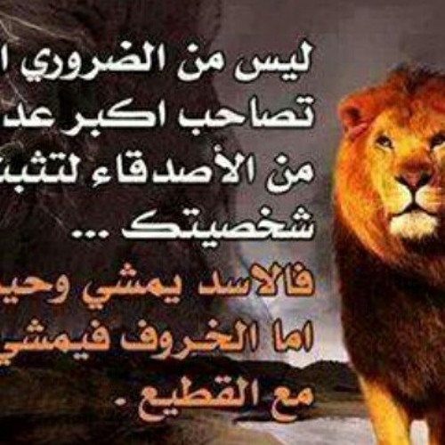 الشيخ امين الدشناوي