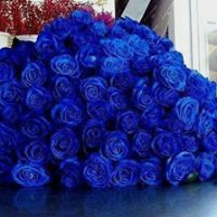 Karyn Rupuha Makatea