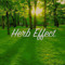 Herb Effect