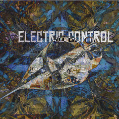 electric-control