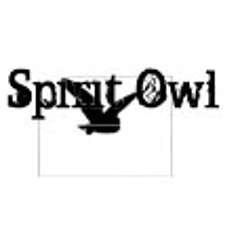 Spirit Owl
