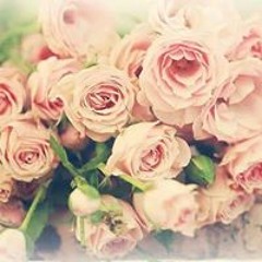 اغاني جميله