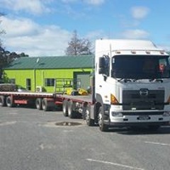 Bunny William Beckham