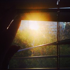 matthewshayleematthews