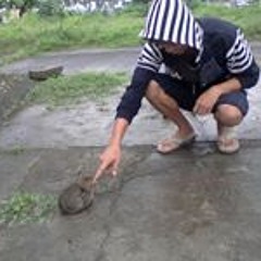 Mark Joseph Del Rosario
