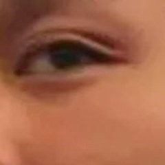 FirePenguin DiscoPanda