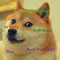 doge music