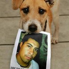 Vico Juarez Hernandez