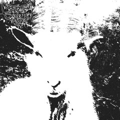 The Eternal Master (vocals)