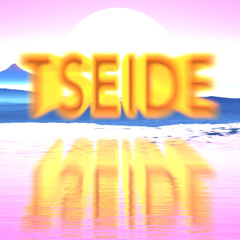TSEIDE