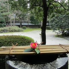 der_fast_hirnlose_nick