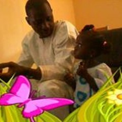 Seedy Gikineh Jallow